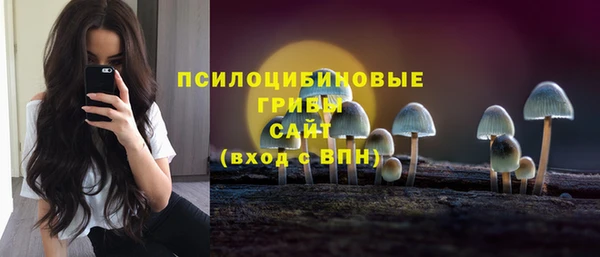 а пвп мука Бородино