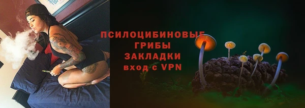 а пвп мука Бородино
