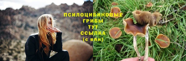 а пвп мука Бородино